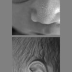 andrea bernardelli (3)