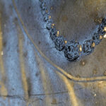 Enquanto você dormia