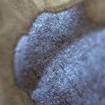 Enquanto você dormia