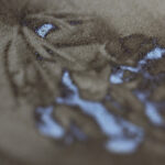 Enquanto você dormia