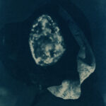 daniela balestrin (10)