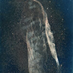 daniela balestrin (2)