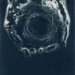 daniela balestrin (3)