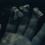 daniela balestrin (7)