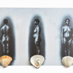 patricia gouvea s1 (10)