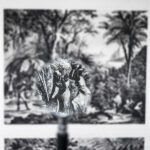 patricia gouvea s1 (5)