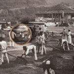 patricia gouvea s1 (7)