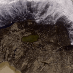 patricia gouvea s2 (10)