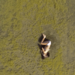 patricia gouvea s2 (5)