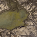 patricia gouvea s2 (8)