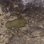 patricia gouvea s2 (9)